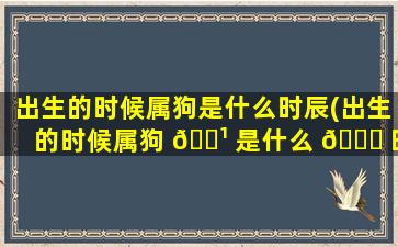 出生的时候属狗是什么时辰(出生的时候属狗 🌹 是什么 🕊 时辰出生的)